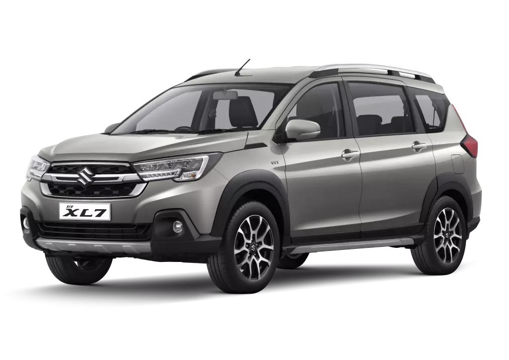 METALIC MAGMA GRAY (ZETA)