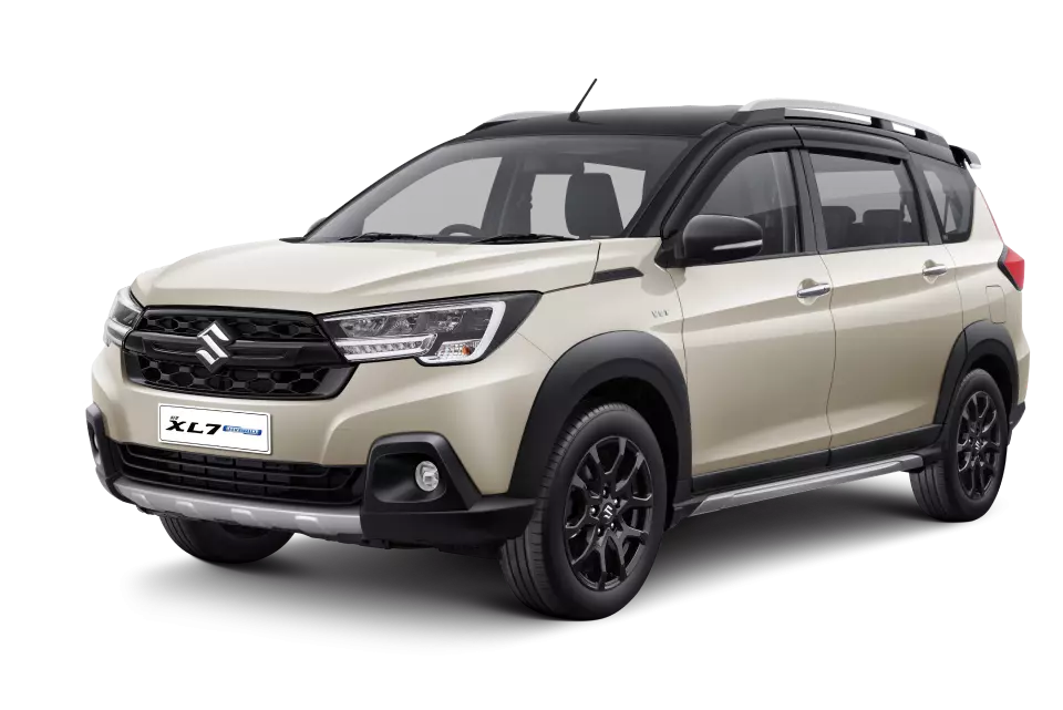 SAVANNA IVORY - BLACK (ALPHA)