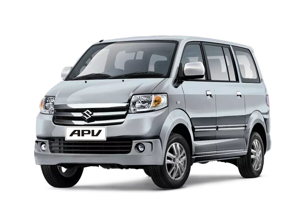 SILKY SILVER METALLIC